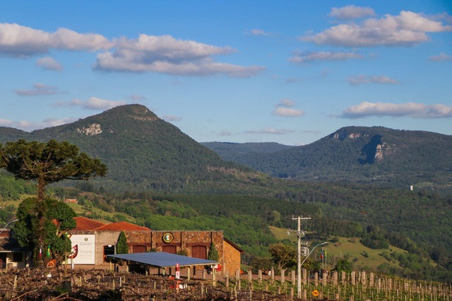 Tour Jolimont – Visitação, Degustação e Taça de brinde