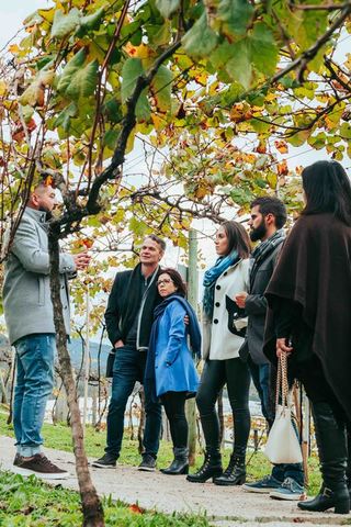 Tour Premium Jolimont - Uma experiência regada à excelentes vinhos na Serra Gaúcha